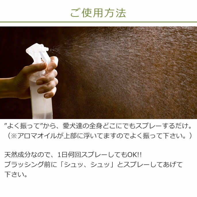 100ŷޡ֥å󥰥ץ졼a0254ۥ֥å󥰥