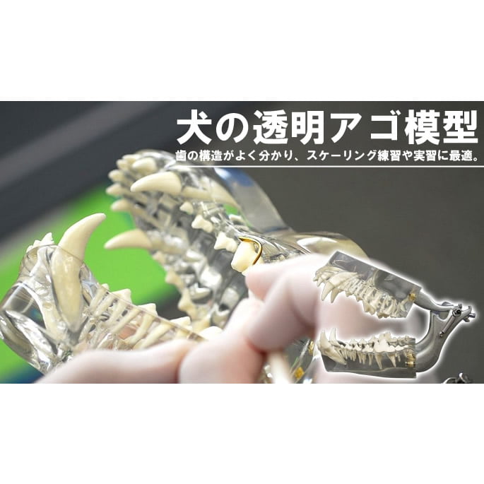 �ڼ��󤻾��ʡ۸���Ʃ�������Ϸ�