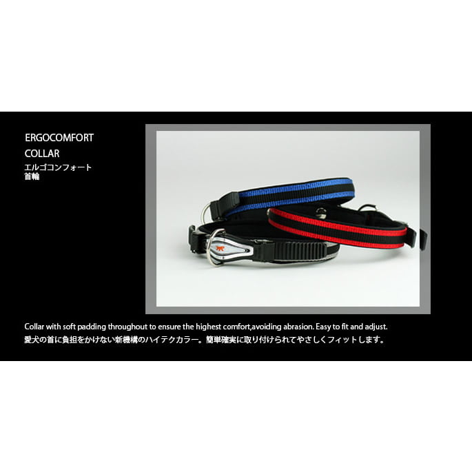 �淿���Ѽ��ءå��르����ե����ȡ�C25/51�����ӥ�ڤ����󤻡�