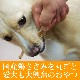 ѥ㡼ôݤȤ ̵źäθѤ1/5/101ޡ̽缡70gѹȤʤޤ