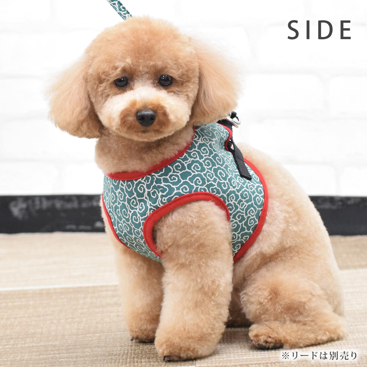 ASHUϡͥ  M()ڥ꡼ɤ