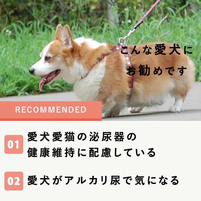 ѥץȡå٥꡼Plus DL-˥Ǣη򹯰ݻ