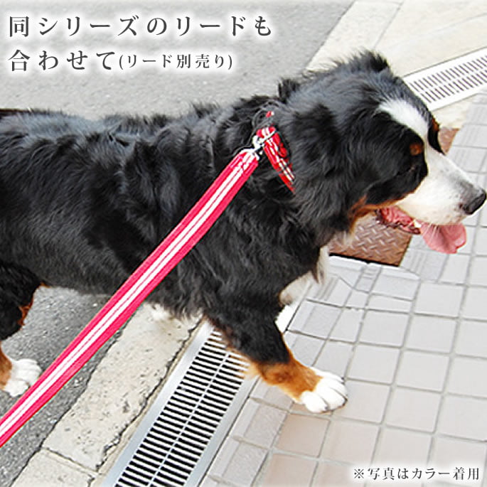 大型犬用ハーフチョーク｜ASHU ツーラインハーフチョーク 超大型