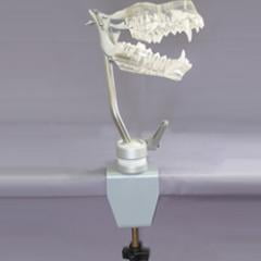 �ڼ��󤻾��ʡۥܡ��른�祤��ȡ��ڸ���Ʃ�������Ϸ����Ѹ������