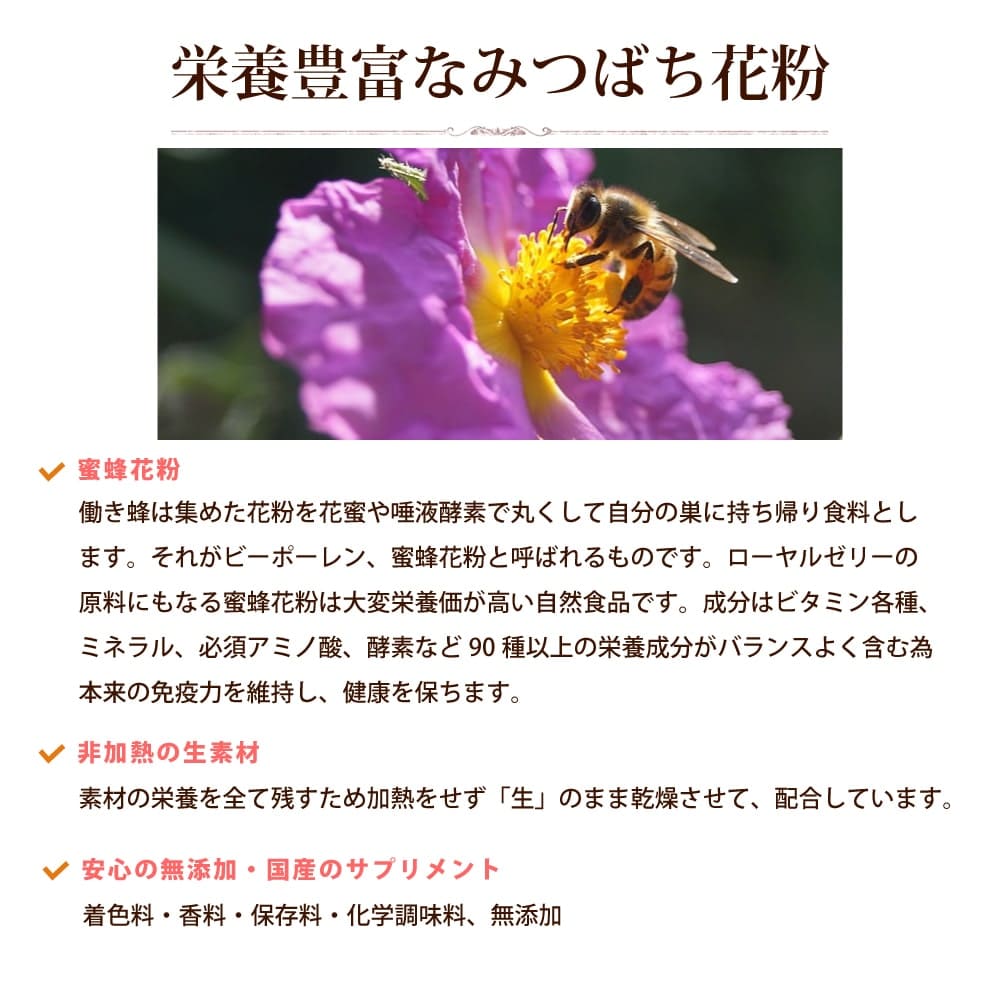 ڵ쥷ݥޥåۤߤĤФѥѥץȡϷ˥ǭ