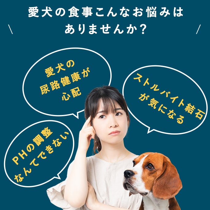 ѥץȡå٥꡼Plus DL-˥Ǣη򹯰ݻ