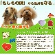 �ڥåȰ¿��»һ����ϡ��ȡ�S��������