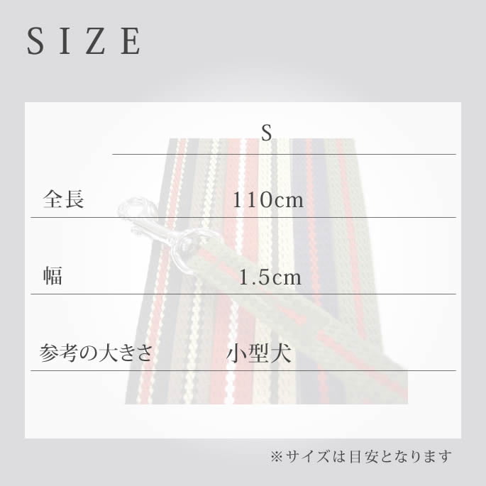 �������ѥ꡼�ɡ�ASHU�����饤�󡡥꡼�ɡ�S������