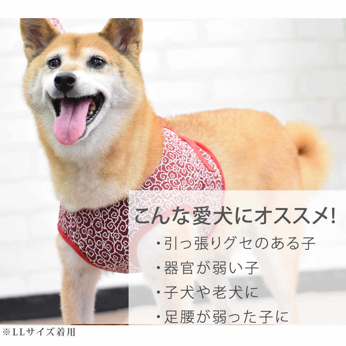 ASHUウェアハーネス 唐草 Lサイズ(中型犬用)