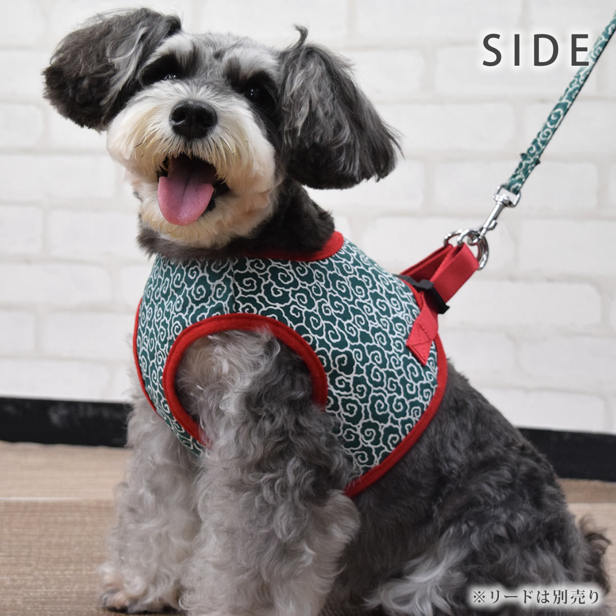 ASHUϡͥ  L(淿)ڥ꡼ɤ