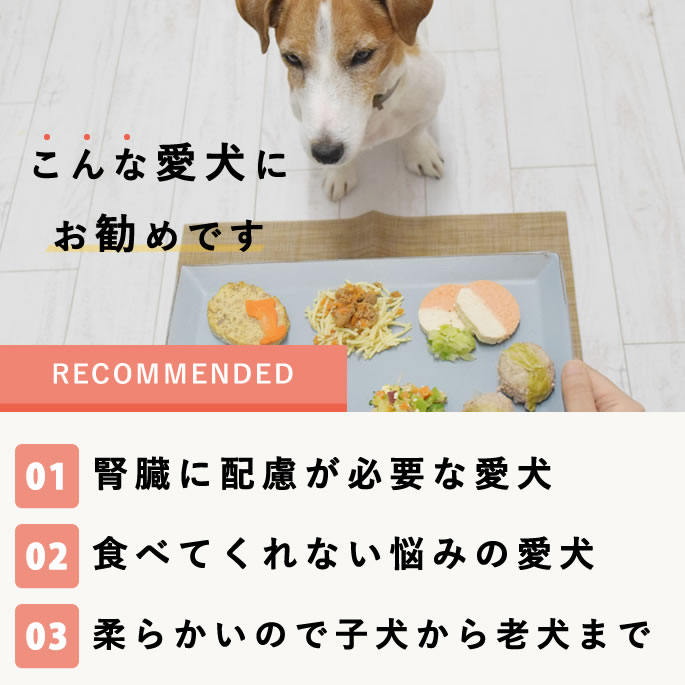 Ѽ꿩ǿ¡ͥ7Aåȡڥϥɥ࿩Ʋۡڿ¡ͥ󣷿