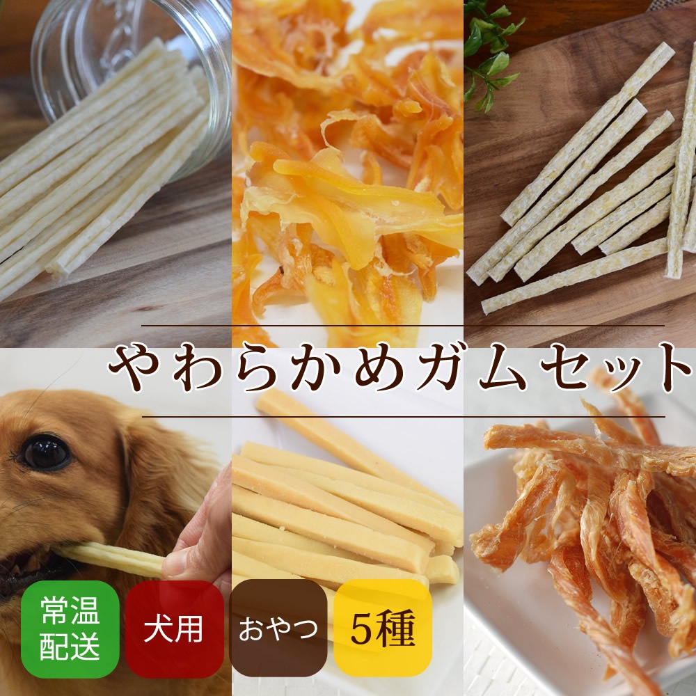 ѤġðΤ餫ᥬॻå ̵ź   ߤ ȥ쥹 Ϸ Ҹ  