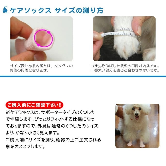 åL2ꡡڤĤ Ĳ ѷ ݡ 