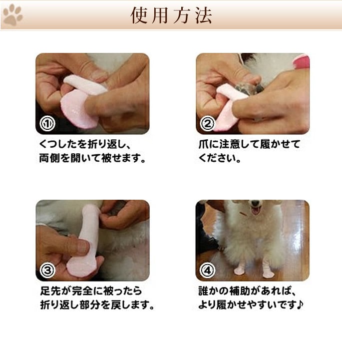 åL2ꡡڤĤ Ĳ ѷ ݡ 