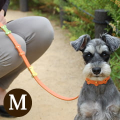 �淿���ѥ꡼�ɡ�ASHU���ѥ��ƥ�ܡ���꡼�� M������