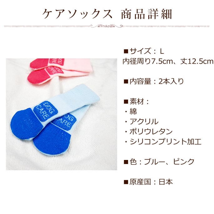 åL2ꡡڤĤ Ĳ ѷ ݡ 