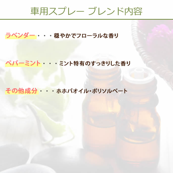 100��ŷ�������ޡ����ѥ��ץ졼��a0258��