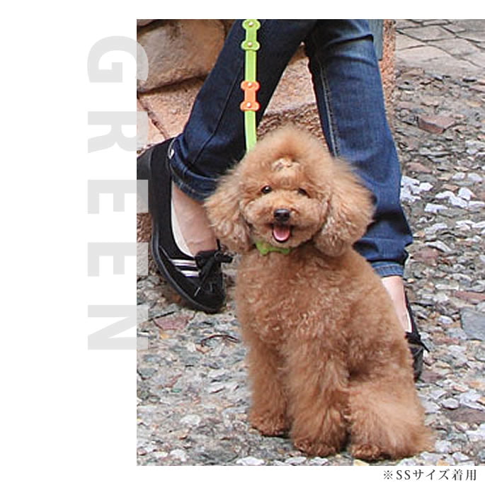 �淿���ѥ꡼�ɡ�ASHU���ѥ��ƥ�ܡ���꡼�� M������