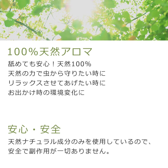 ASHU*�����ޥ�ܥ�������ڥ֥��ɡۡ�S��L��������a0263��