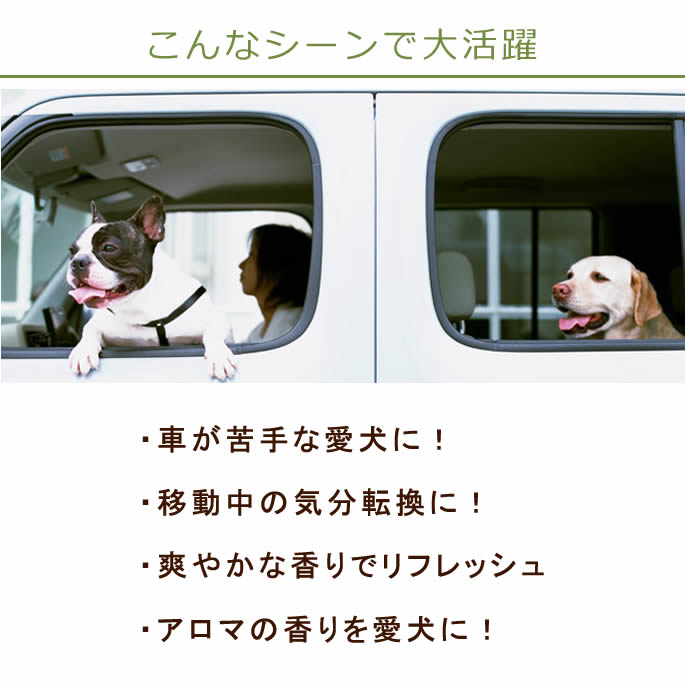 100��ŷ�������ޡ����ѥ��ץ졼��a0258��