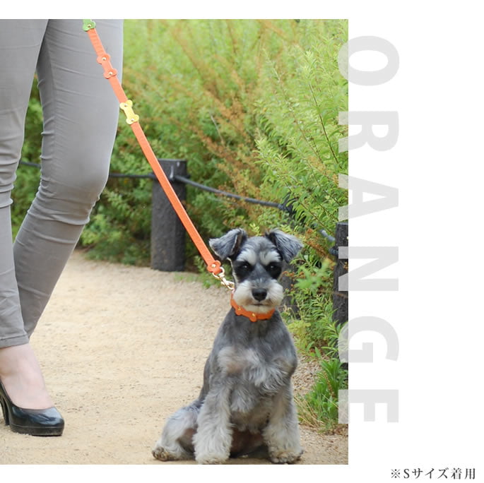 �淿���ѥ꡼�ɡ�ASHU���ѥ��ƥ�ܡ���꡼�� M������