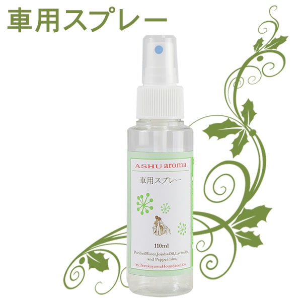 100��ŷ�������ޡ����ѥ��ץ졼��a0258��