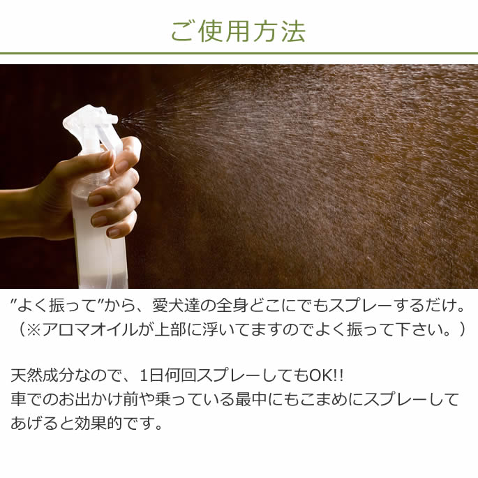 100��ŷ�������ޡ����ѥ��ץ졼��a0258��