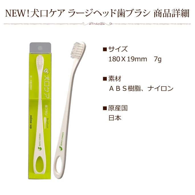 �����������ޥ������إåɡ����֥饷