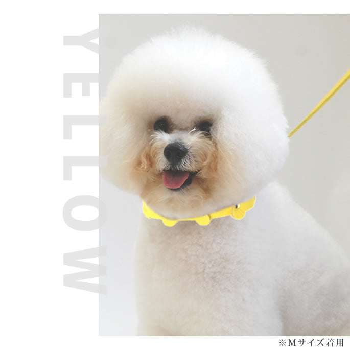 �淿���ѥ꡼�ɡ�ASHU���ѥ��ƥ�ܡ���꡼�� M������