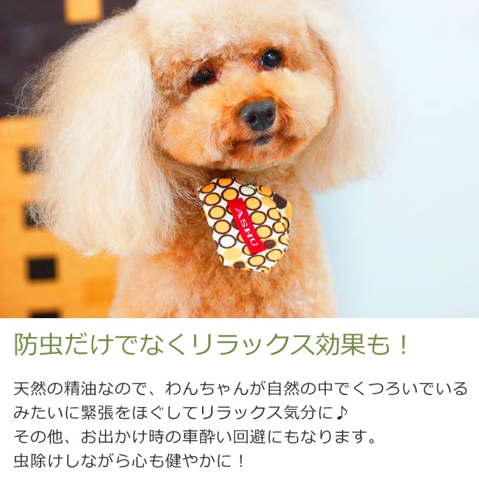 ASHU*�����ޥ�ܥ�������ڥ֥��ɡۡ�S��L��������a0263��