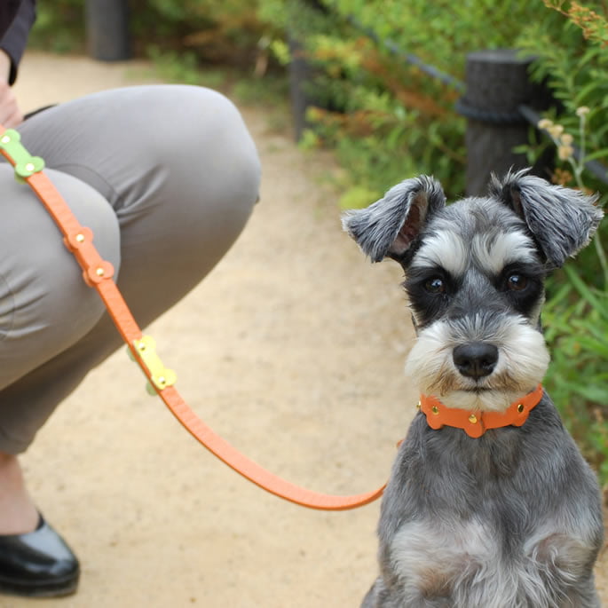 �淿���ѥ꡼�ɡ�ASHU���ѥ��ƥ�ܡ���꡼�� M������