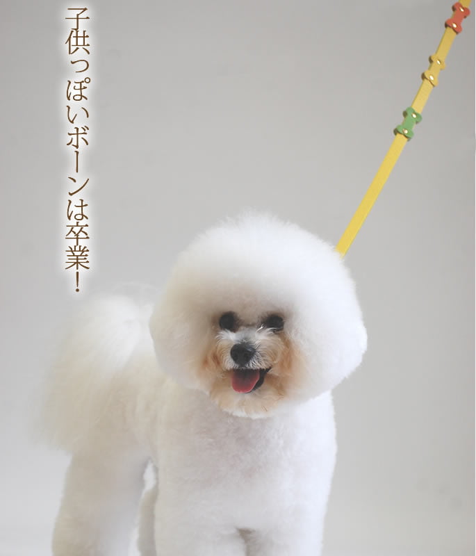 �淿���ѥ꡼�ɡ�ASHU���ѥ��ƥ�ܡ���꡼�� M������