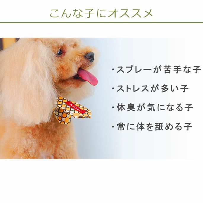 ASHU*�����ޥ�ܥ�������ڥ֥��ɡۡ�S��L��������a0263��