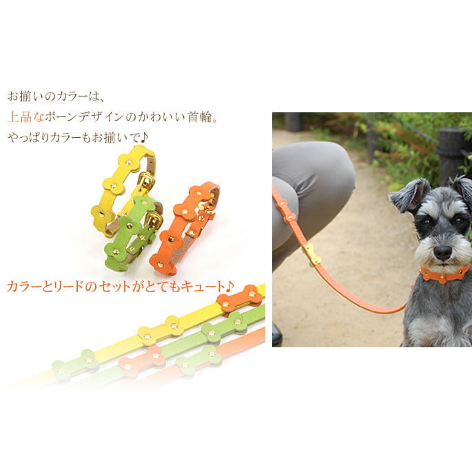 �淿���ѥ꡼�ɡ�ASHU���ѥ��ƥ�ܡ���꡼�� M������