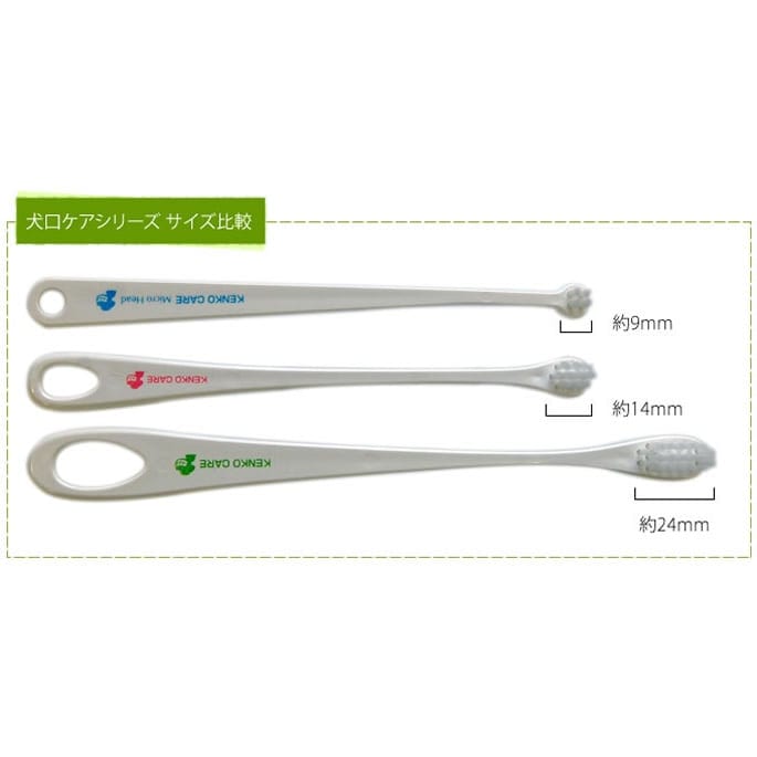 �����������ޥ������إåɡ����֥饷