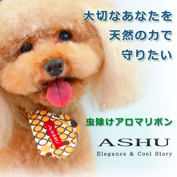 ASHU�������ޥ�ܥ�