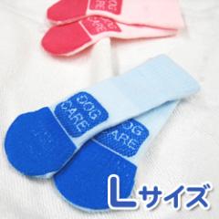 åL2ꡡڤĤ Ĳ ѷ ݡ 