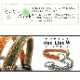 �������ѥϡ��ե��硼����ASHU�����饤��W���ϡ��ե��硼�������顼��S������