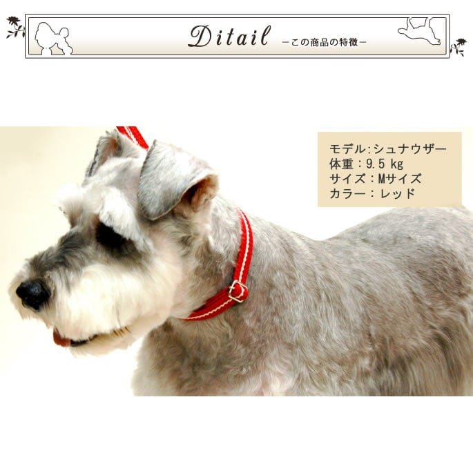 小型犬用首輪｜ASHU ワンライン カラーSサイズ｜ドッグフードの通販