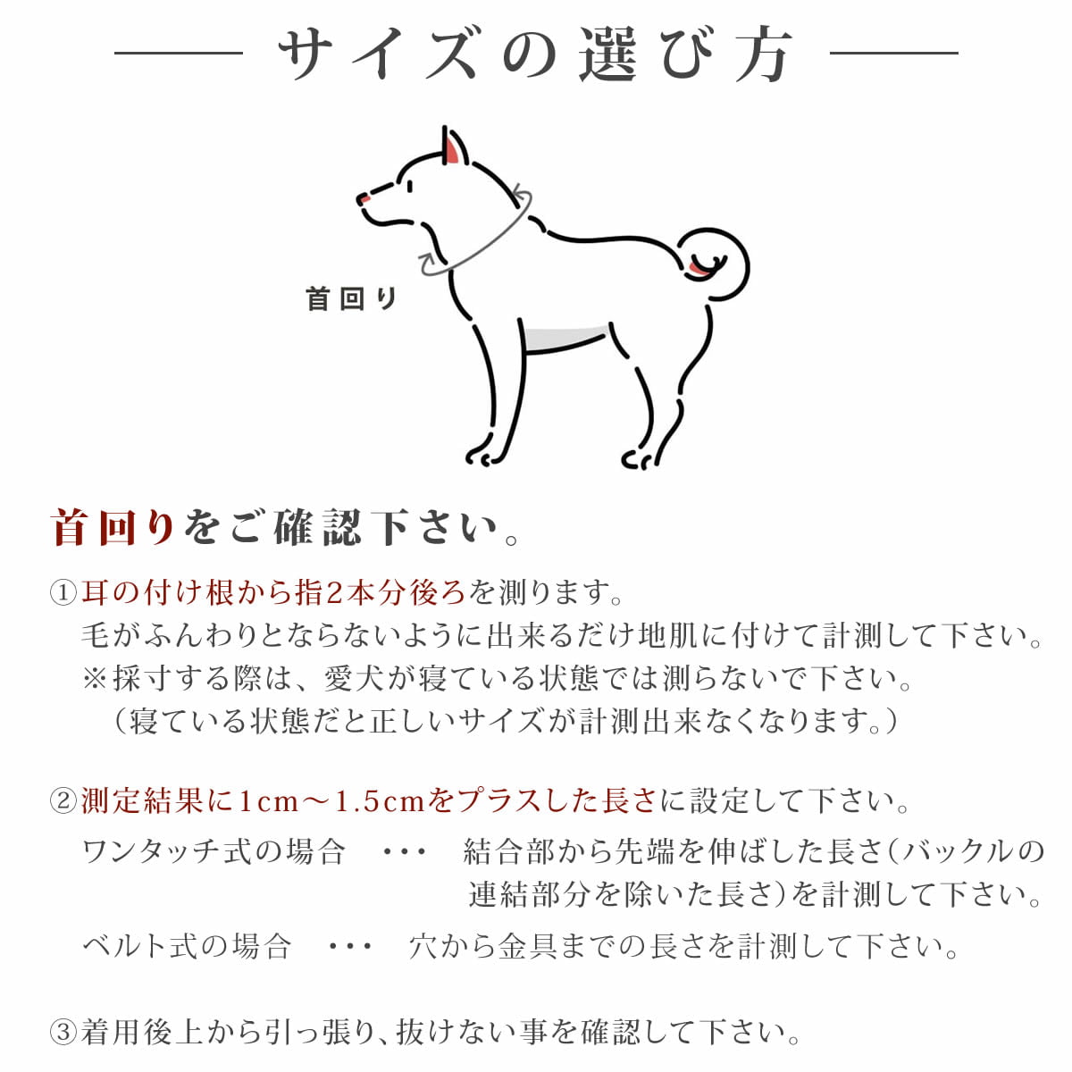 �������Ѽ��ء�ASHU�����饤�󡡥��顼�ӥ�����