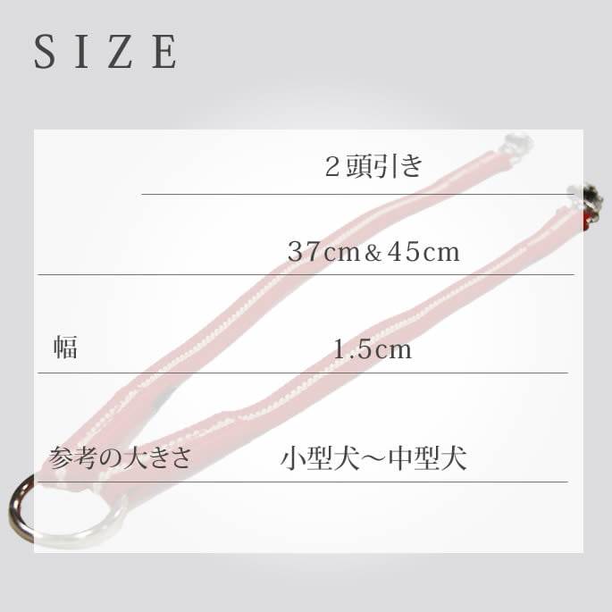 ¿Ƭ�����ˡ�ASHU�����饤�󡡣�Ƭ�����꡼��