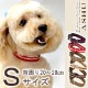 �������Ѽ��ء�ASHU�����饤�󡡥��顼�ӥ�����