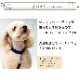 �������Ѽ��ء�ASHU�����饤�󡡥��顼�ӥ�����