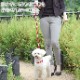�������Ѽ��ء�ASHU�����饤�󡡥��顼�ӥ�����