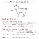�������Ѽ��ء�ASHU�����饤�󡡥��顼�ӥ�����