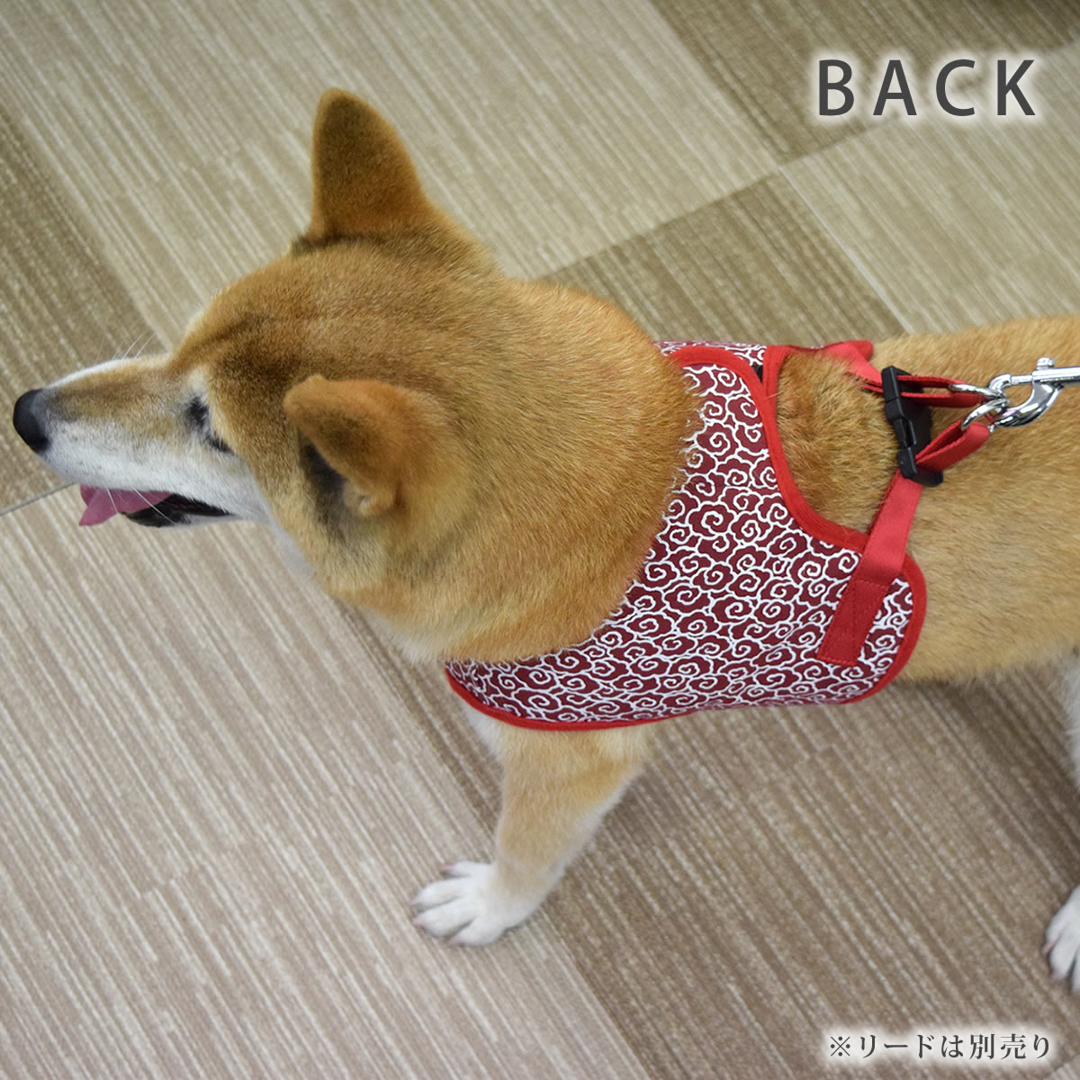 ASHUϡͥ  LL(淿)ڥ꡼ɤ