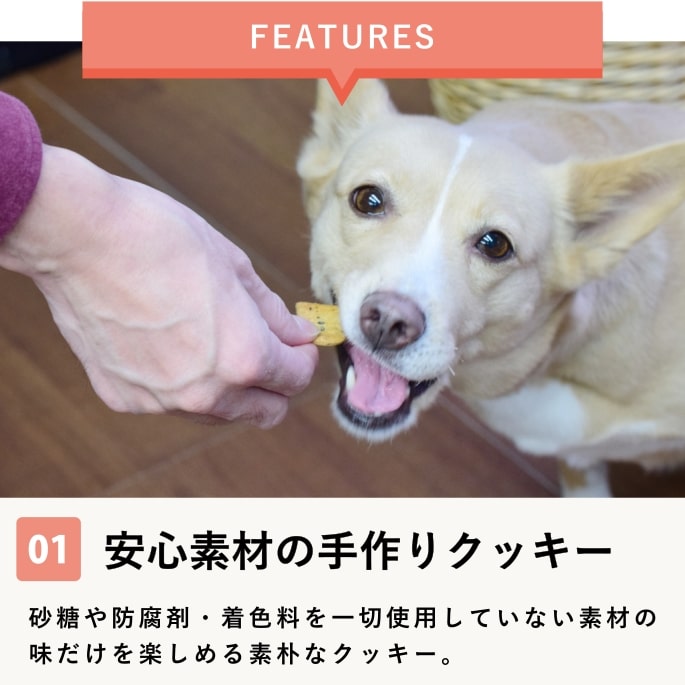 ���ѥ��å����å��ꥸ�ʥ륯�å�����繥����ץ饹��80g 1��/5��