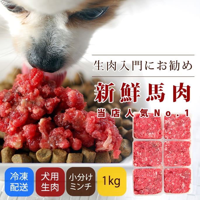 ������������� �����������ߥ�� ��ʬ���ȥ졼1kg ������������