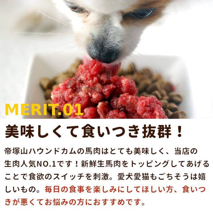 ������������� �����������ߥ�� ��ʬ���ȥ졼1kg ������������