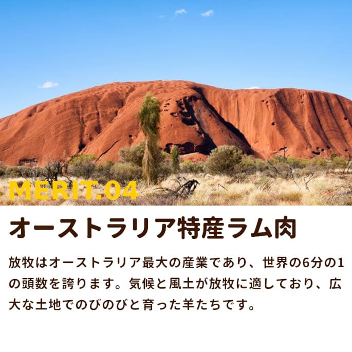 ���� �����å�������֥��å���a0031��500g/1kg/3kg/5kg+500g/10kg+1kg����ǭ�ˤ⤴���Ѥ��������ޤ��ھ�ʬ���ȥ졼���ǤϤ���ޤ����